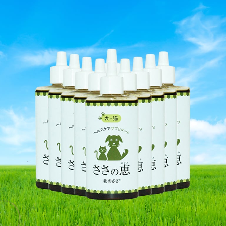 ささの恵 100ｇ×10本（ペット用　熊笹エキス）