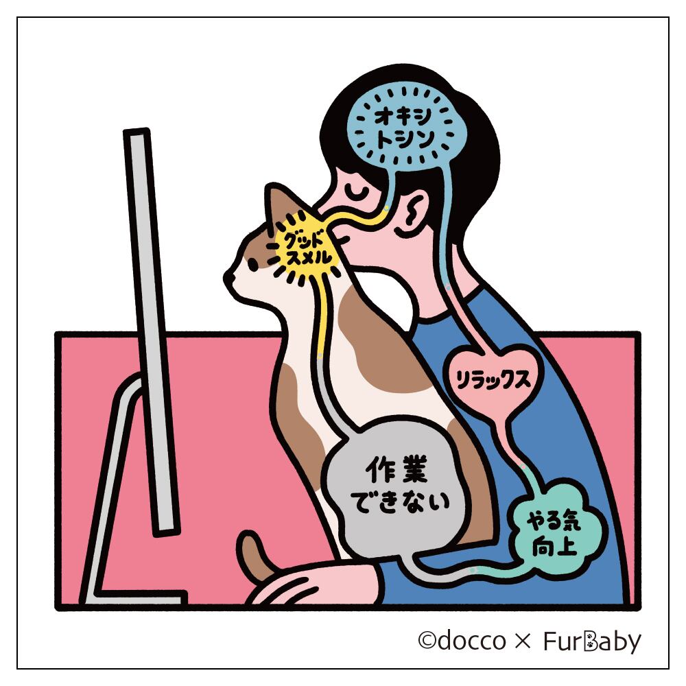 猫吸い ステッカー3種セット | SPACE FACTORY ONLINE STORE