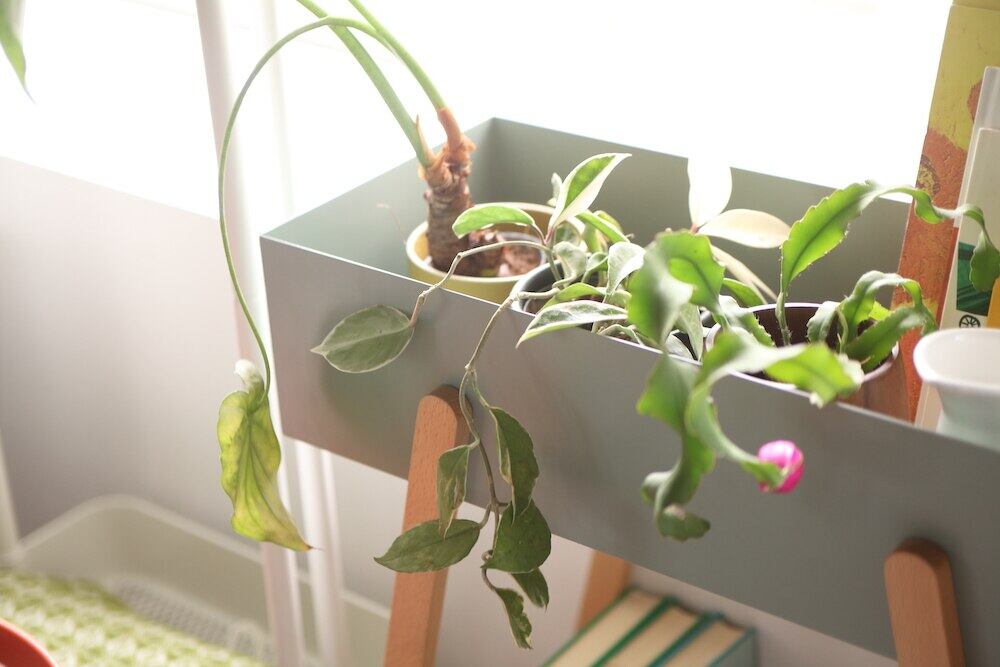 プランタースタンド おしゃれ プランター スタンド プランターボックス ラック 長方形 観葉植物 植物 フェイクグリーン 収納 北欧 玄関 | selecshopクレイン プランタースタンド おしゃれ プランター スタンド プランターボックス ラック 長方形 観葉植物 植物 フェイクグリーン 収納 北欧 玄関 | selecshopクレイン