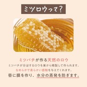 daily delight(デイリーディライト) リップバーム プレミアムバニラ 10g(リップクリーム 缶入り 唇用保湿クリーム 上質なバニラアイスクリームの香り)