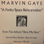MARVIN GAYE - A FUNKY SPACE REINCARTION