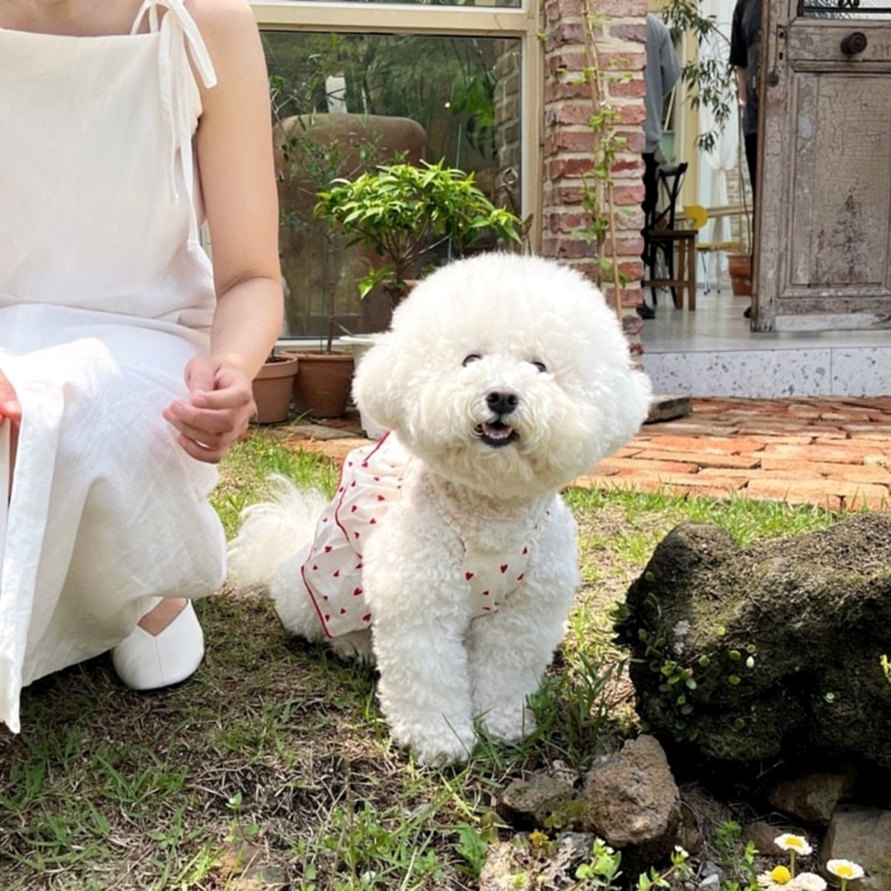 【PET】ハート柄プリントフリルワンピース