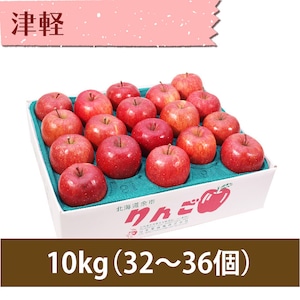 【りんご】津軽 10kg（32〜40個）