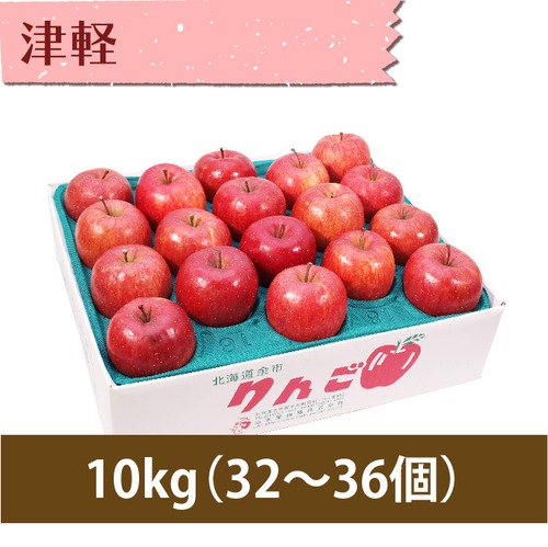 【りんご】津軽 10kg（32〜40個）