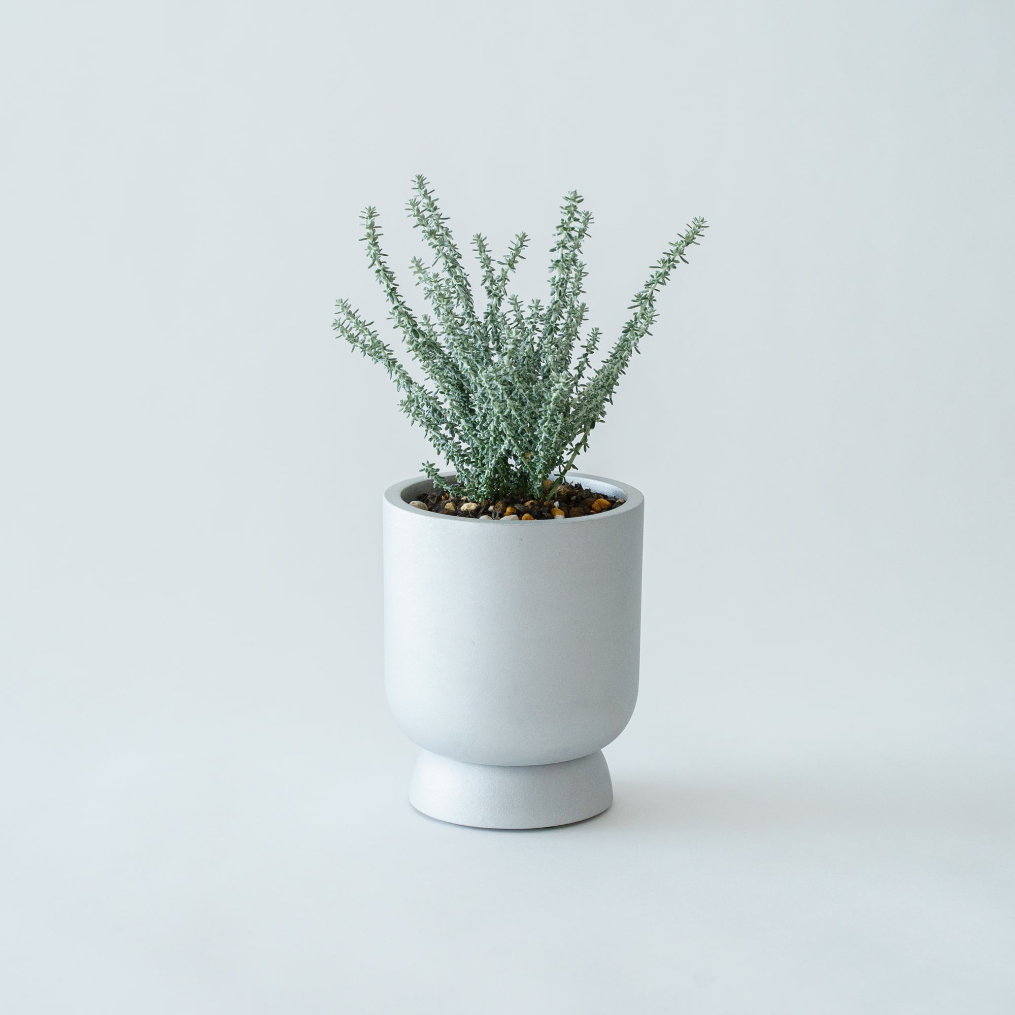 Nur Akhterさん専用 Nur Akhterさん専用