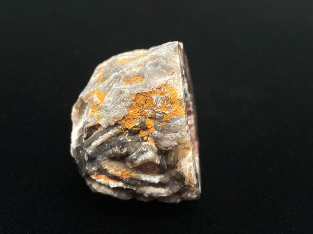 オープンジオード