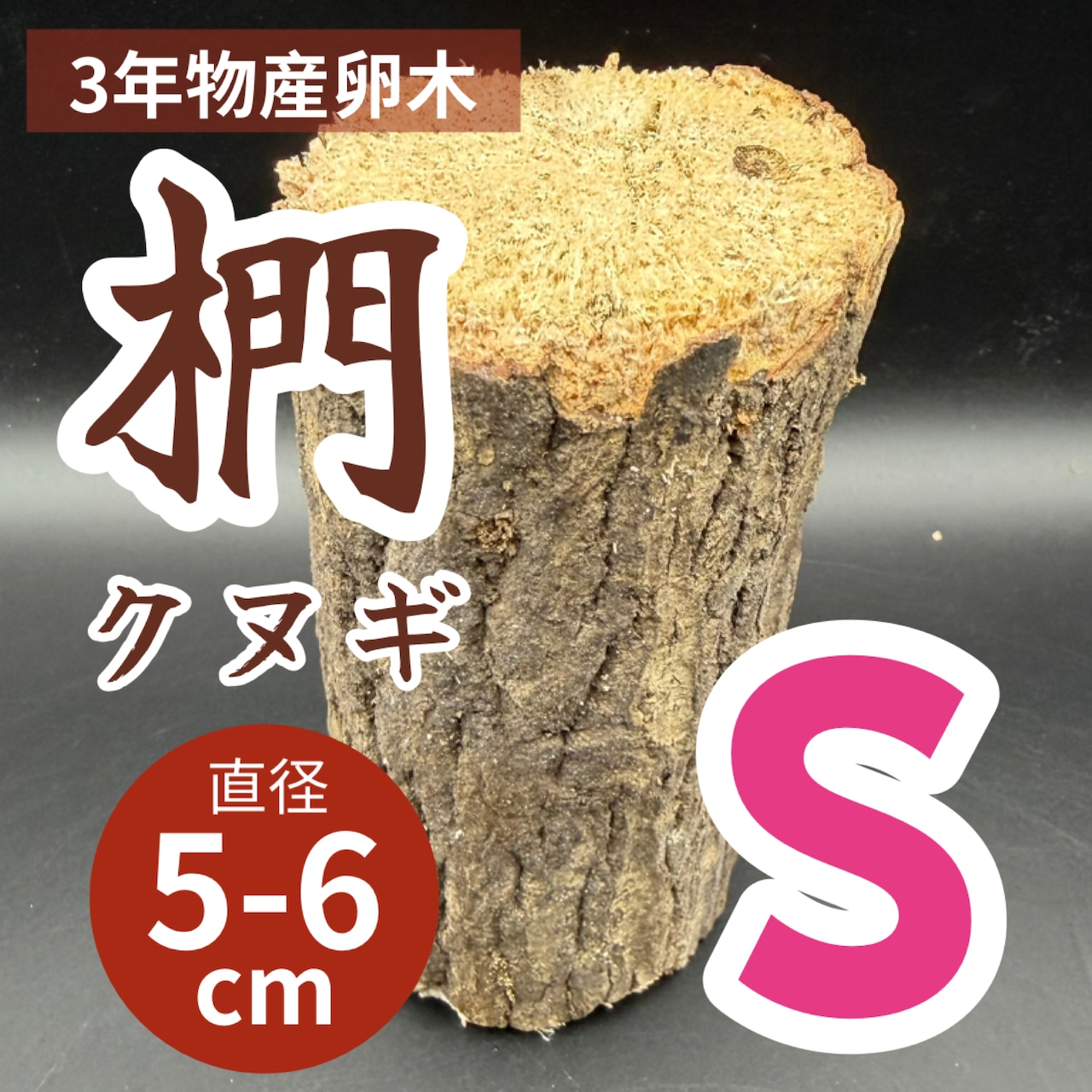 【3年物】産卵木 クヌギ材 Sサイズ 1本