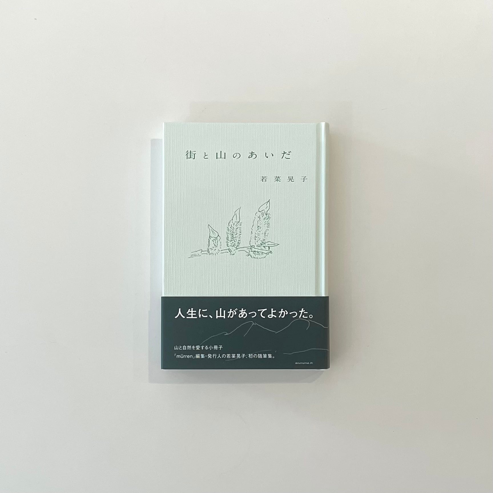街と山のあいだ｜若菜晃子 | 本の栞
