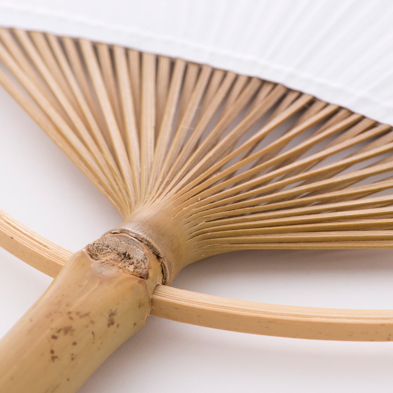 団扇（相撲） | 西元祐貴 official shop