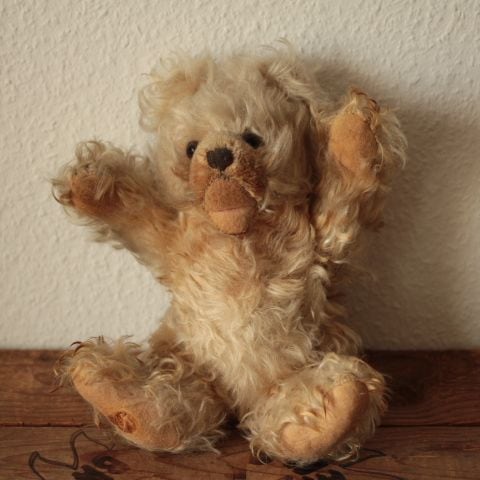 シュタイフ　Zotty ゾッティ　テディベア 54c8638ab9a5e0d7c2872388153999