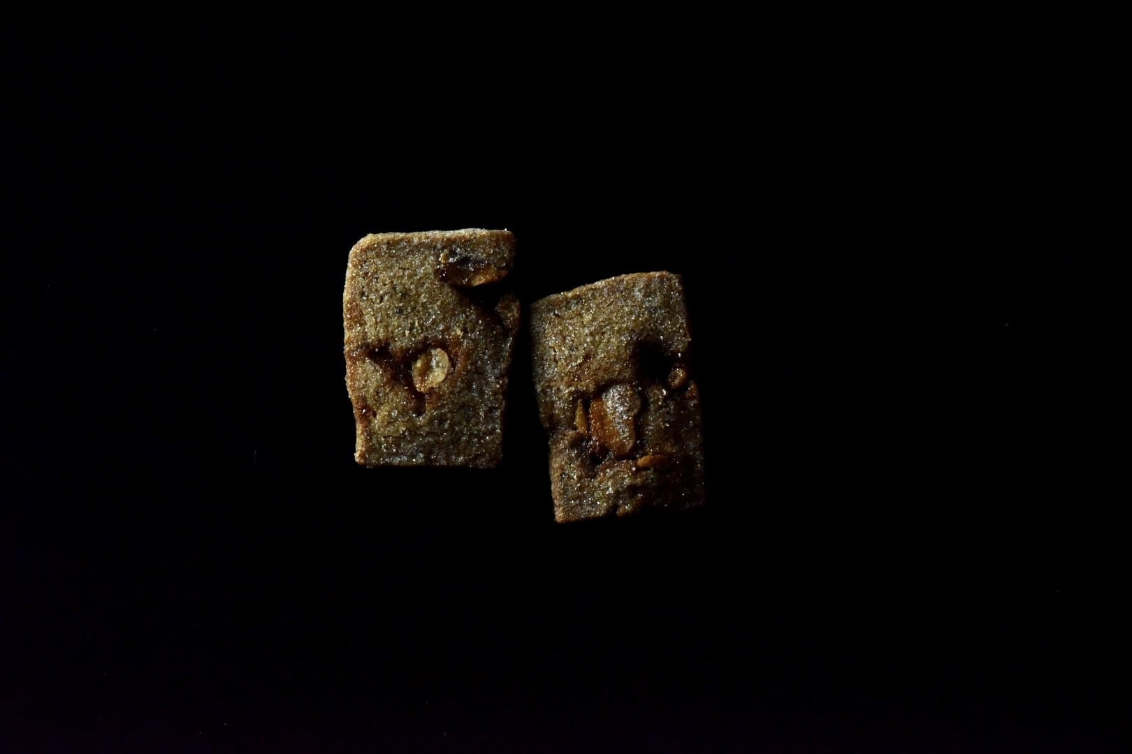 白南天（11/28fri.発送）