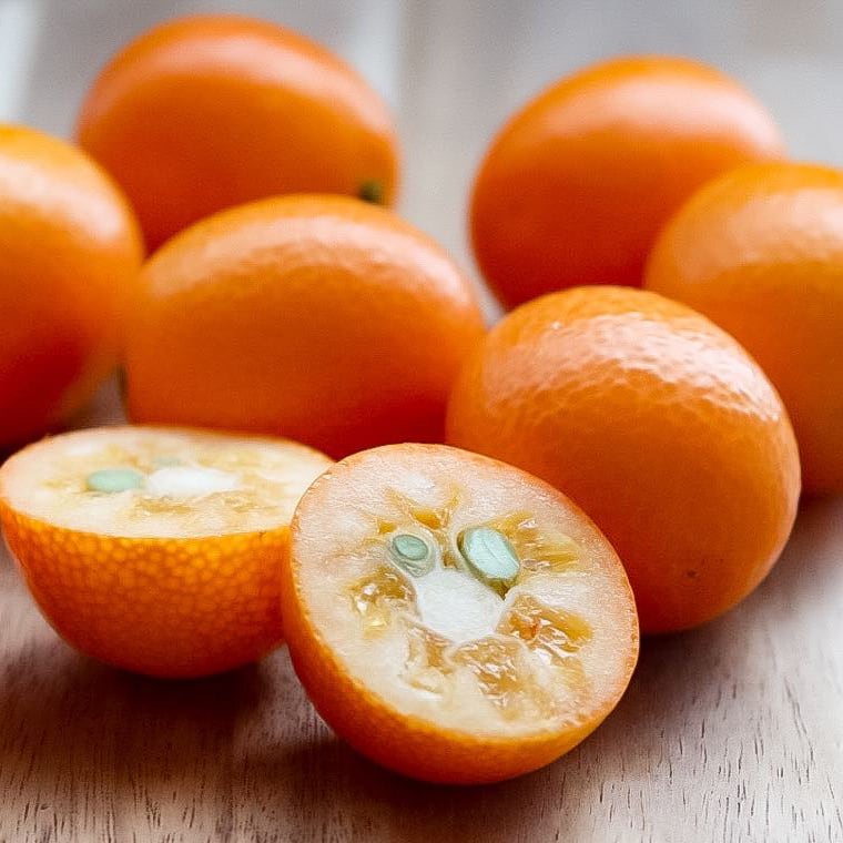 宮崎県産）完熟金柑たまたま（エクセレント） | dreamkeinomi