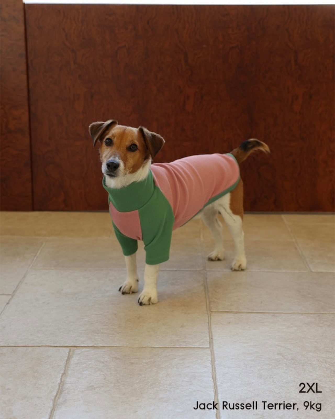 【即納】GOPE Dog Raglan Turtleneck｜Green × Pink - 7