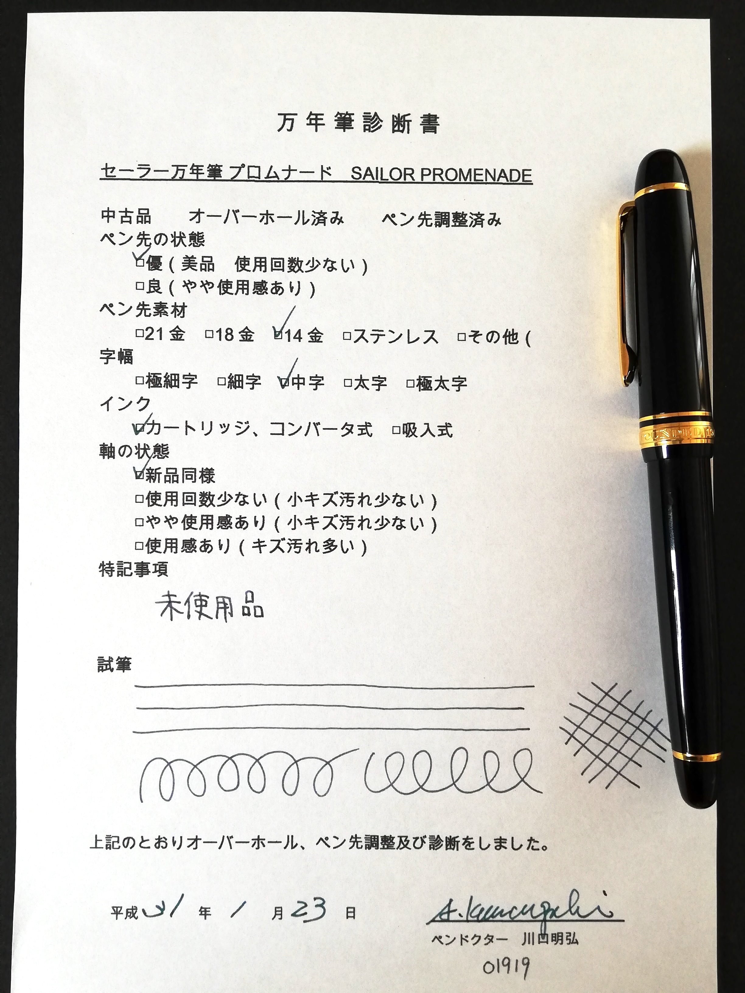 セーラー万年筆 プロムナード SAILOR PROMENADE （中字） 14K 01919