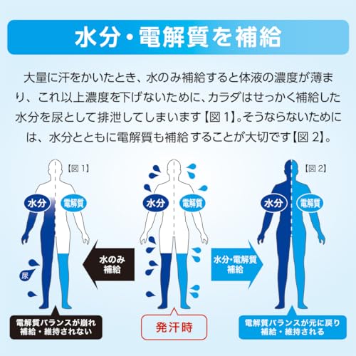 薬屋さんが考えた補水対策パウダー【6g×20包】電解質＆ブドウ糖配合