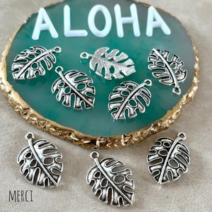 【2個】モンステラチャーム