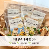 【数量限定!】まるのワンだふるクッキー 5種よくばりセット ※ワンコ用ではありません