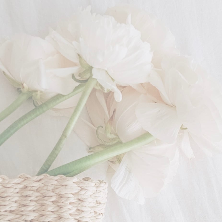 ご注文についての注意点