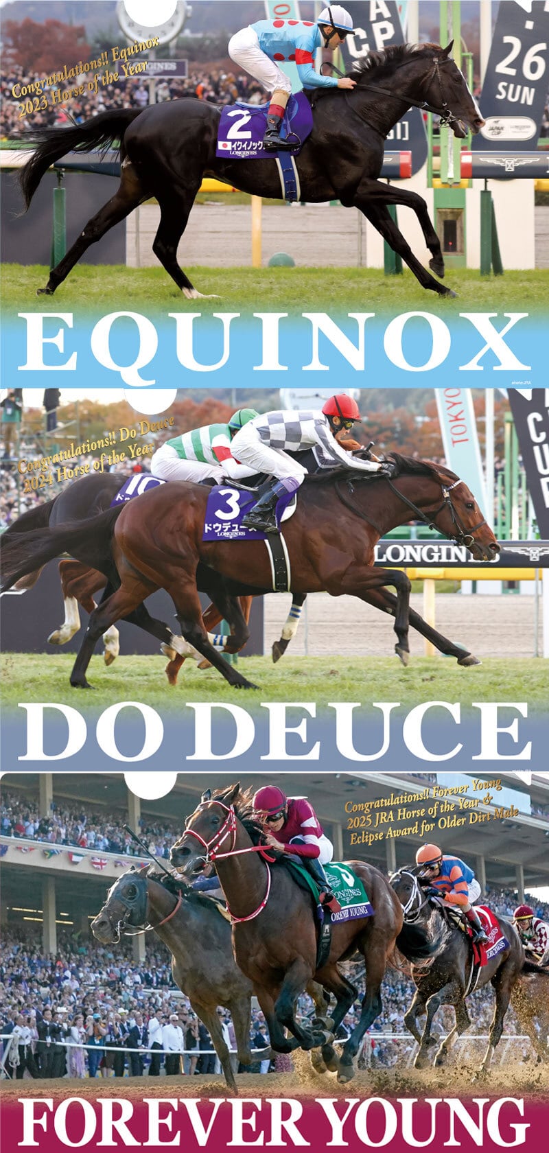 年度代表馬クリアファイル3枚セット（イクイノックス・ドウデュース