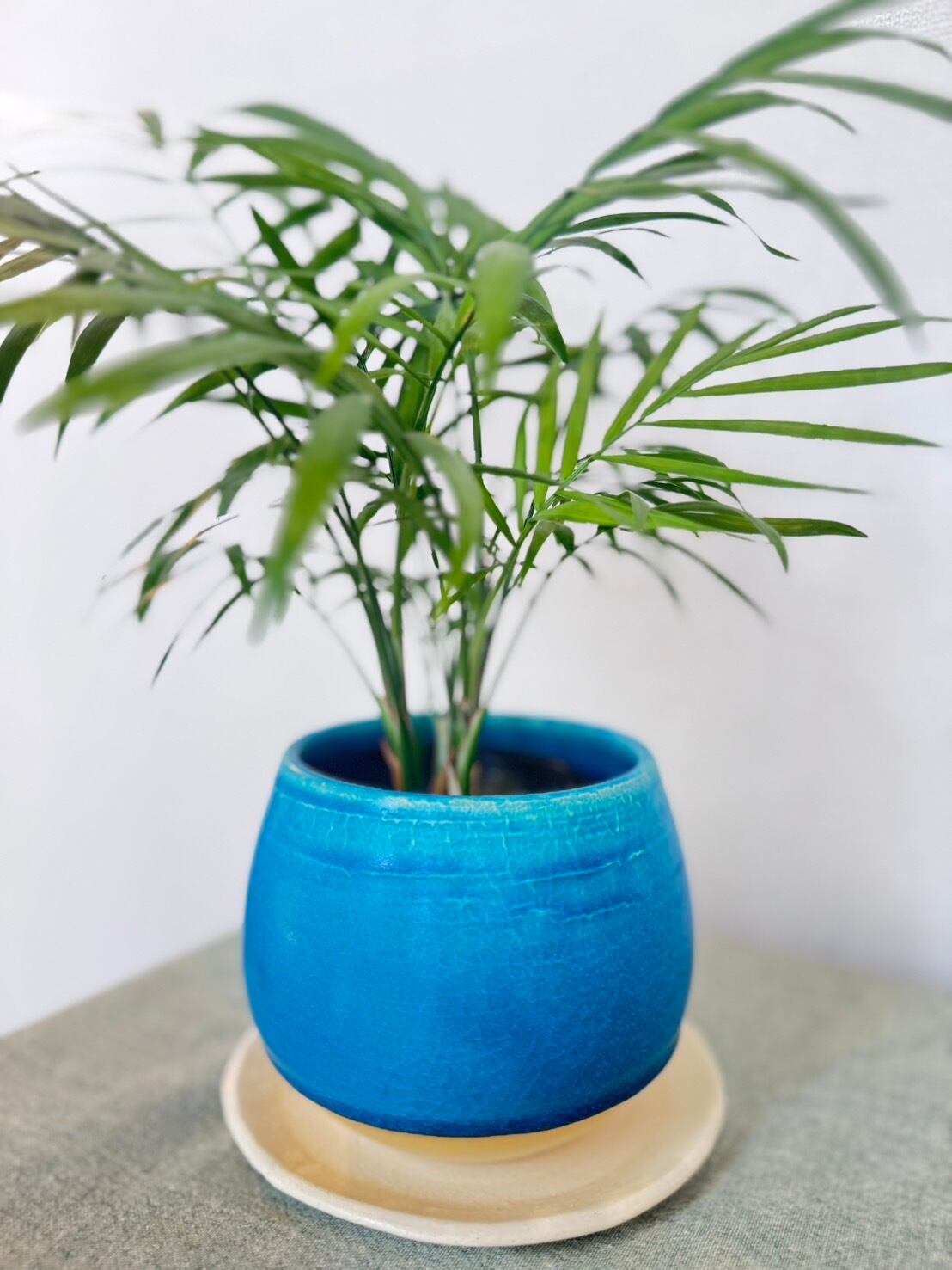 陶芸 やちむん 植木鉢 沖縄やちむん植木鉢 受皿付き