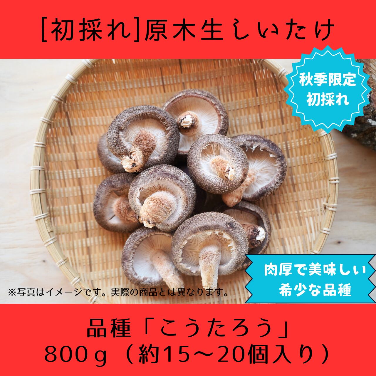 kinokoさま専用 mushroom様 専用 きのこ様専用 きのこ様 専用 オーダーページ さま専用