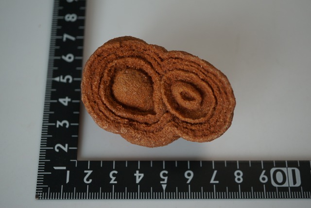 モロッコ産ストロマトライト Stromatolite 1617