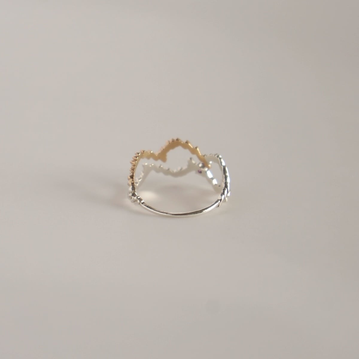 Aquarius 水瓶座 / Amethyst＞zodiac sign ring | MR-138 | KINARIYA