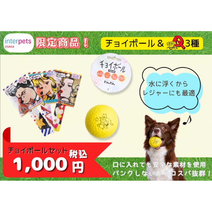 【期間限定】【インターペット企画】チョイボールセット