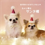 ちょい乗せサンタ帽