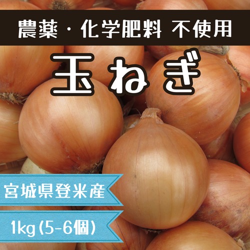 玉ねぎ 1kg