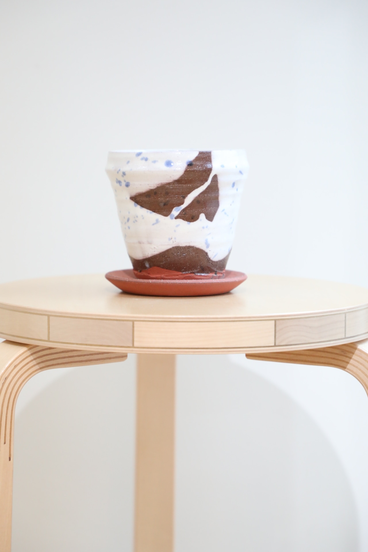 パラキートポット/陶器鉢