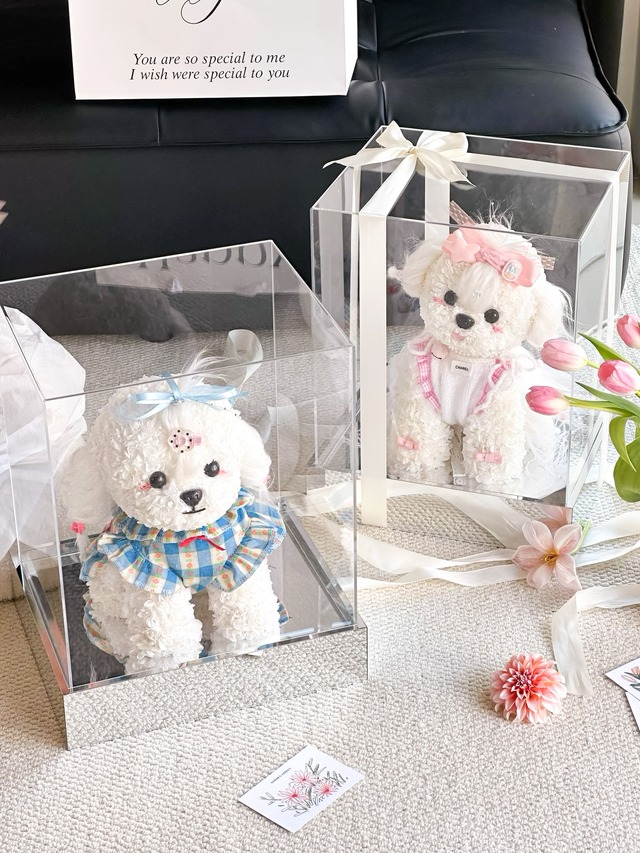 春の日のリリちゃんの草原冒険｜元気を出してね！