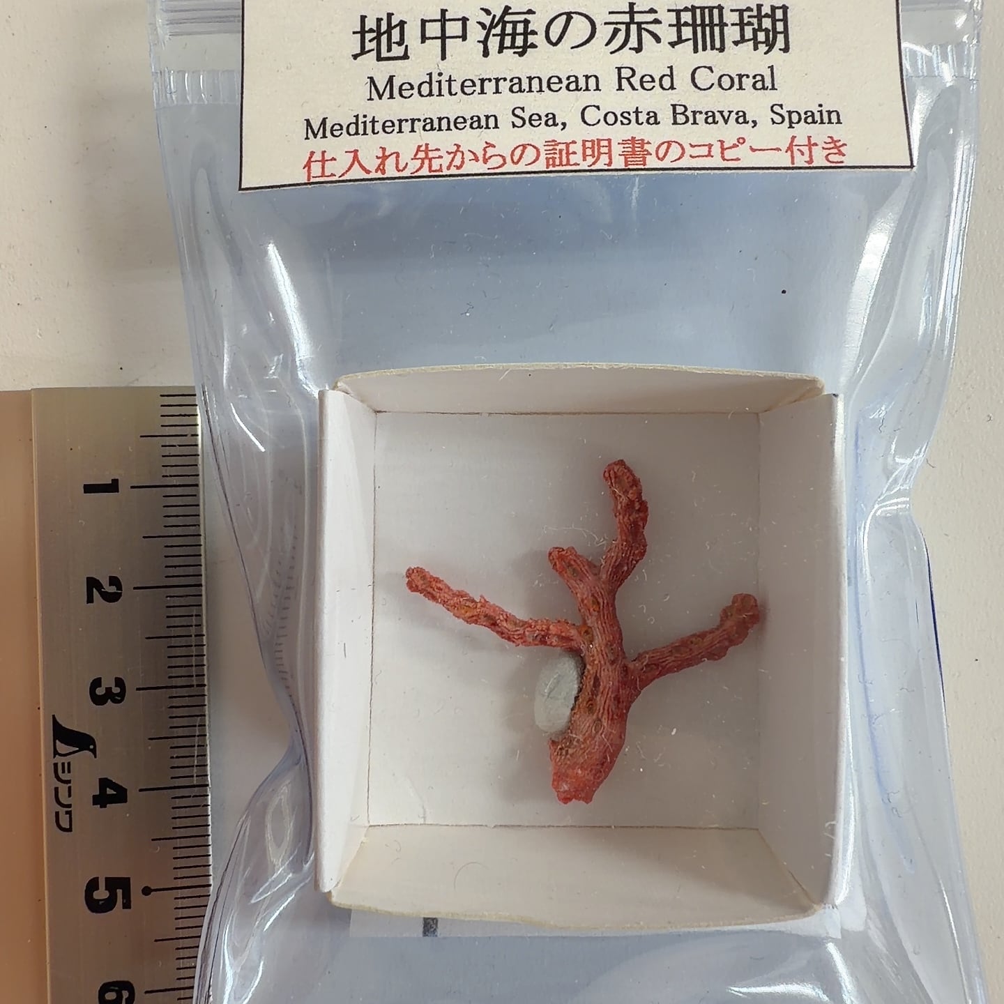 天然珊瑚印材20g 天然珊瑚印材20g 天然珊瑚印材20g 天然珊瑚印材20g