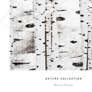 アートポスター / Birch forest No.4　eb216