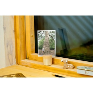 ミニ骨壺 ピクチュアリ シリンダ ピングゴールド  骨壺ミニ　手元供養　モダン仏具