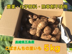 『里芋』5kg