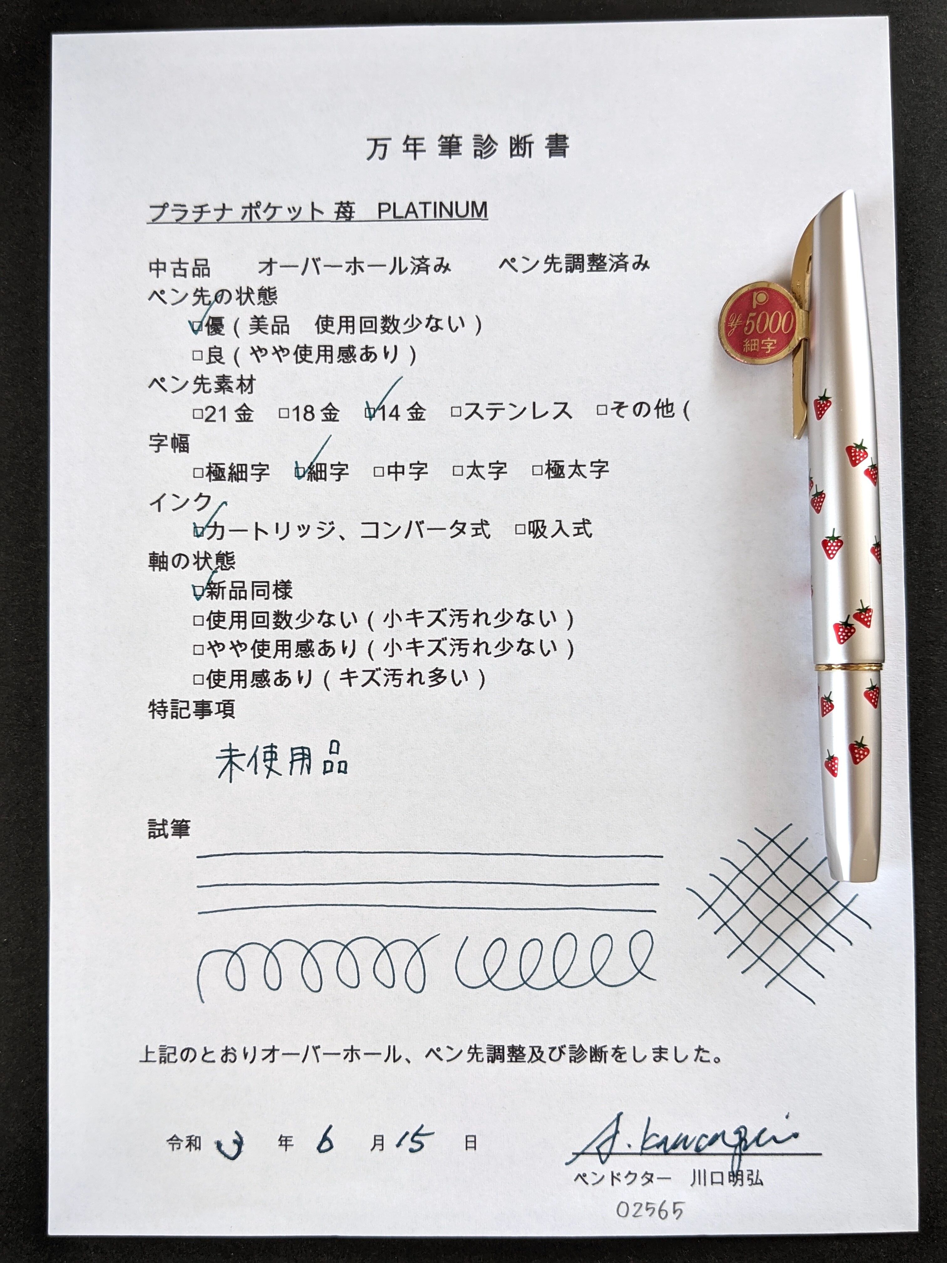 60s プラチナ ポケット 苺 PLATINUM （細字） 14K 02565 | 川口明弘の
