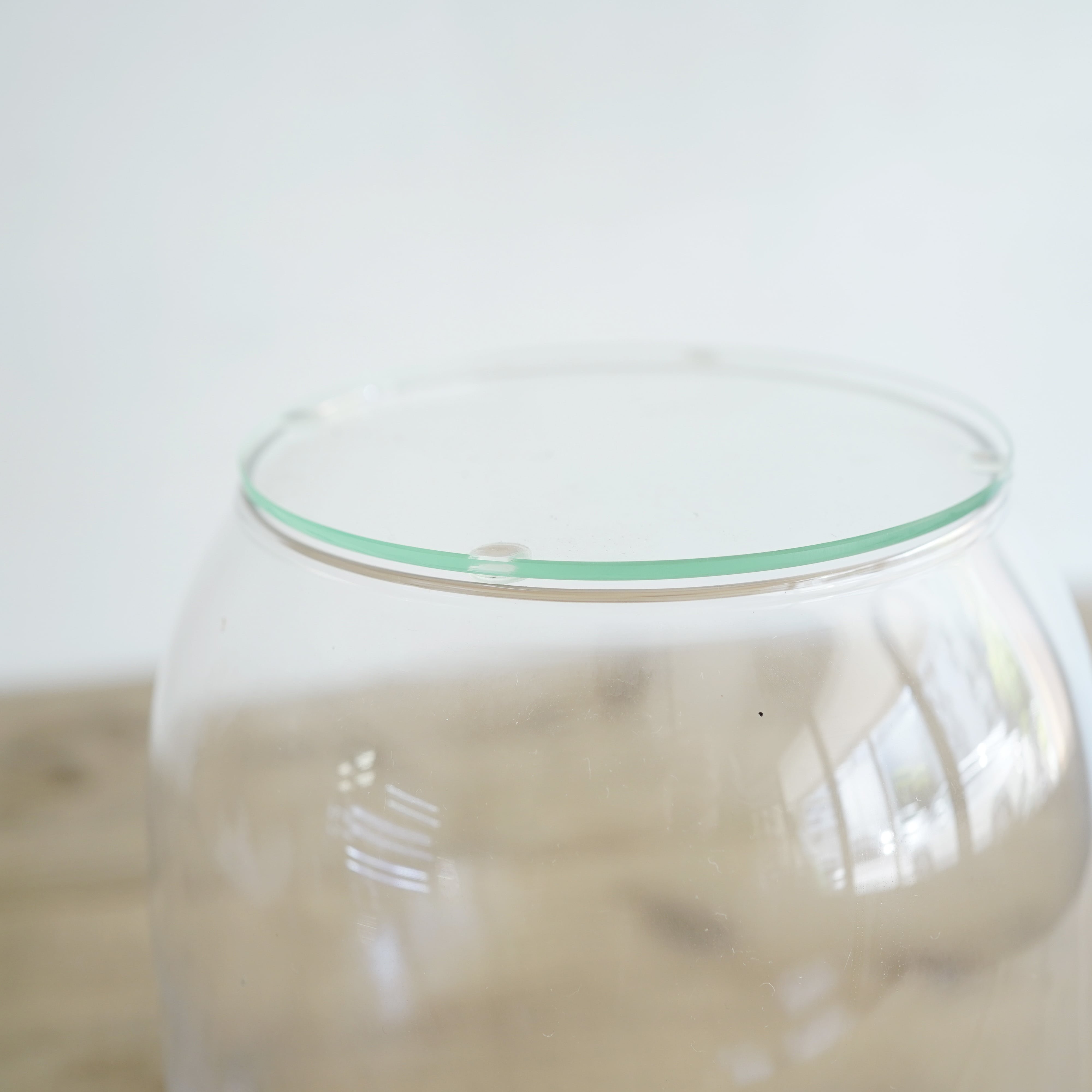 ガラス容器】パセオラージ（Φ170xh200mm） | 苔テラリウム専門