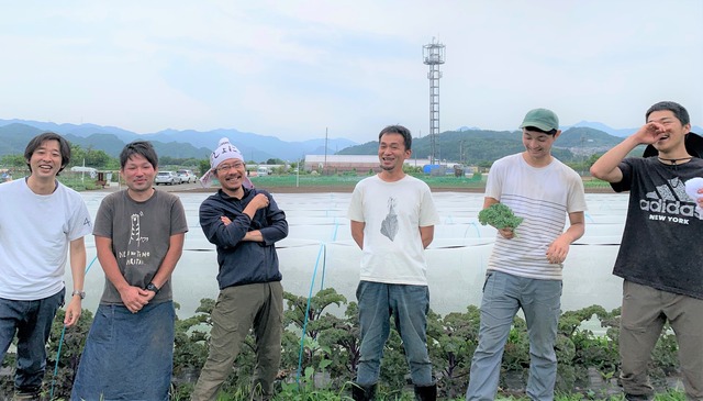 ［Sunrise Vege］ケール　80g