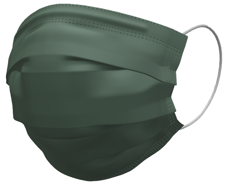 【美】ハッシュマスク レギュラーサイズ ディープフォーレスト(単色) 日本製