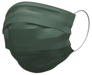 【美】ハッシュマスク レギュラーサイズ ディープフォーレスト(単色) 日本製