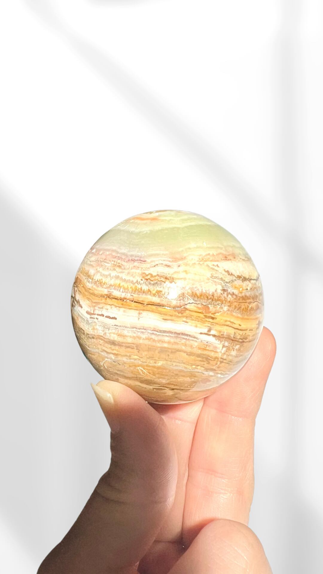 5502691e118087be62281de36269ea