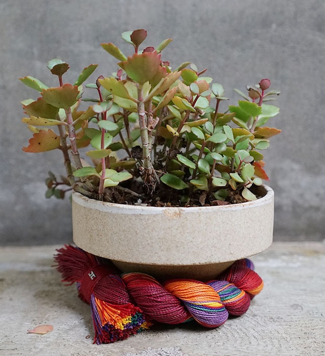 〈花器〉SHRINE ROPE POT　 S