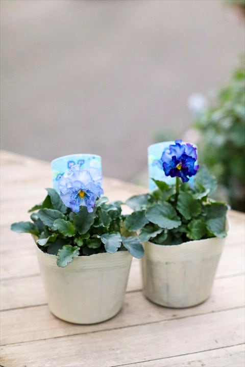 神戸べっぴんさん】青の幻想2ポット | オニ通