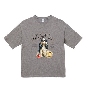 cavalier summer fragrance