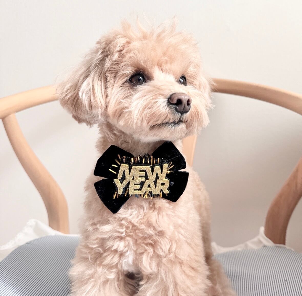 NEW YEARおネックリボンorヘアバンドリボン(後ろ支え付き)