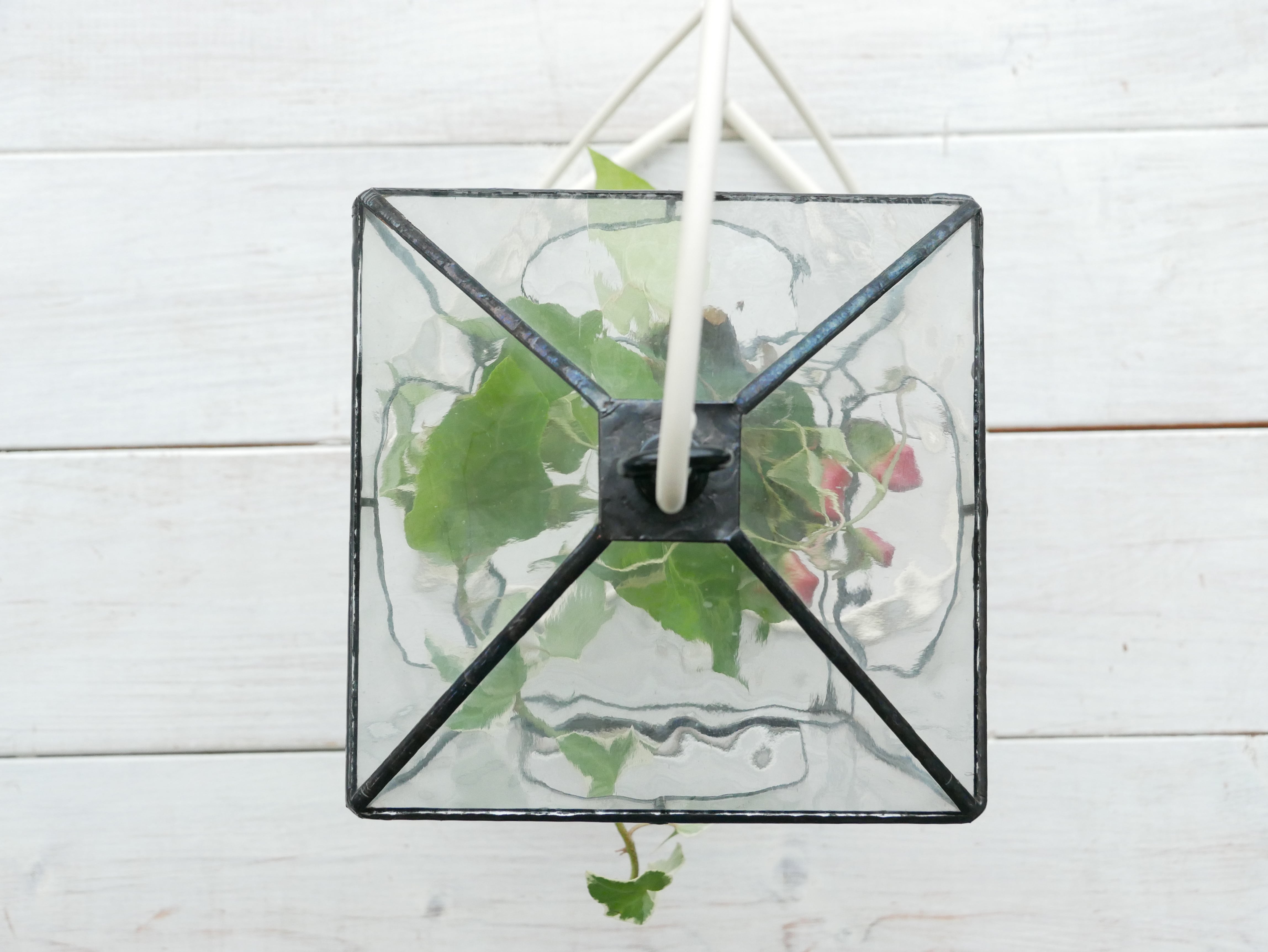 ステンドグラス 】観葉植物 テラリウム（吊り下げ台座付き