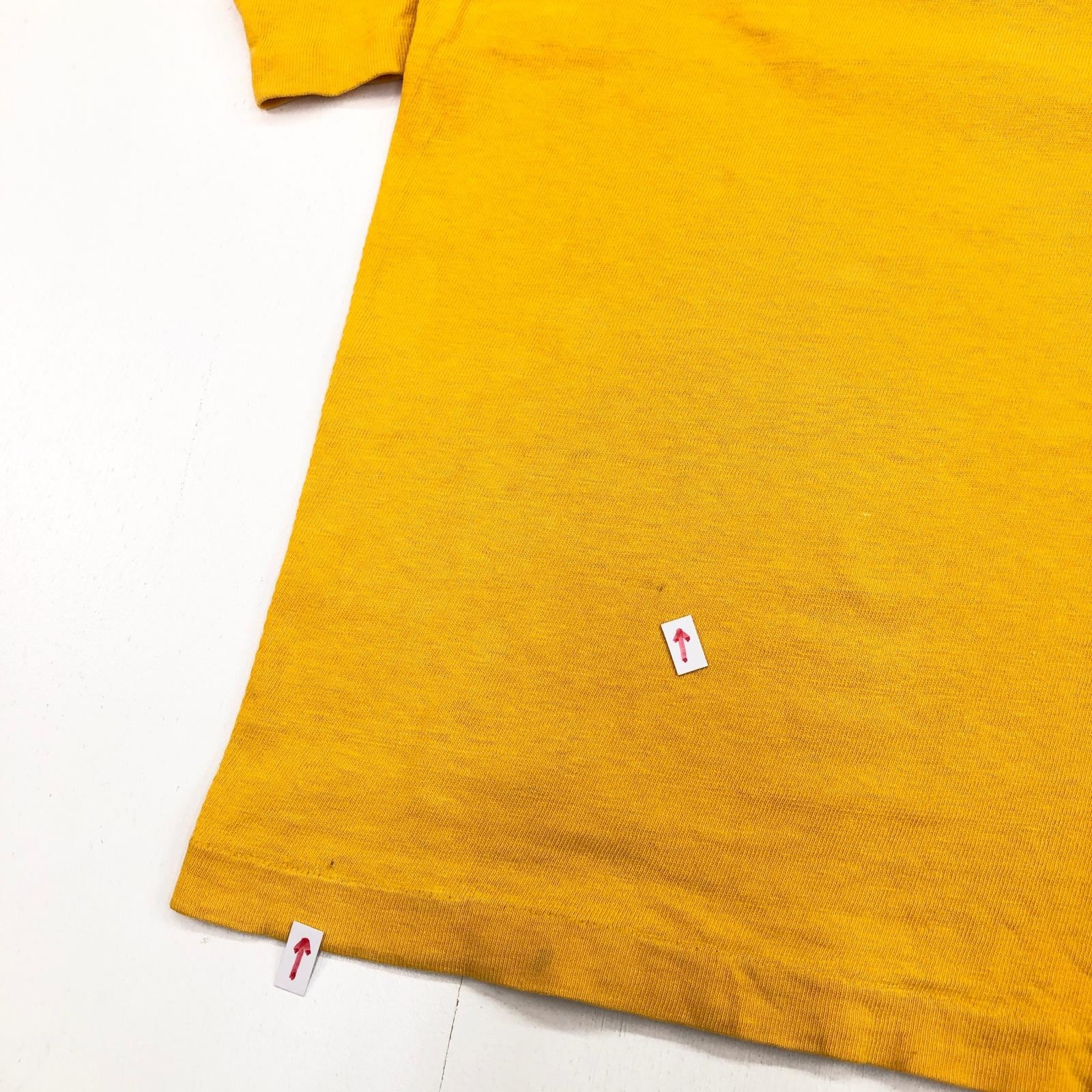 CHAMPION チャンピオン 70年代 バータグ フットボールシャツ MINNESOTA