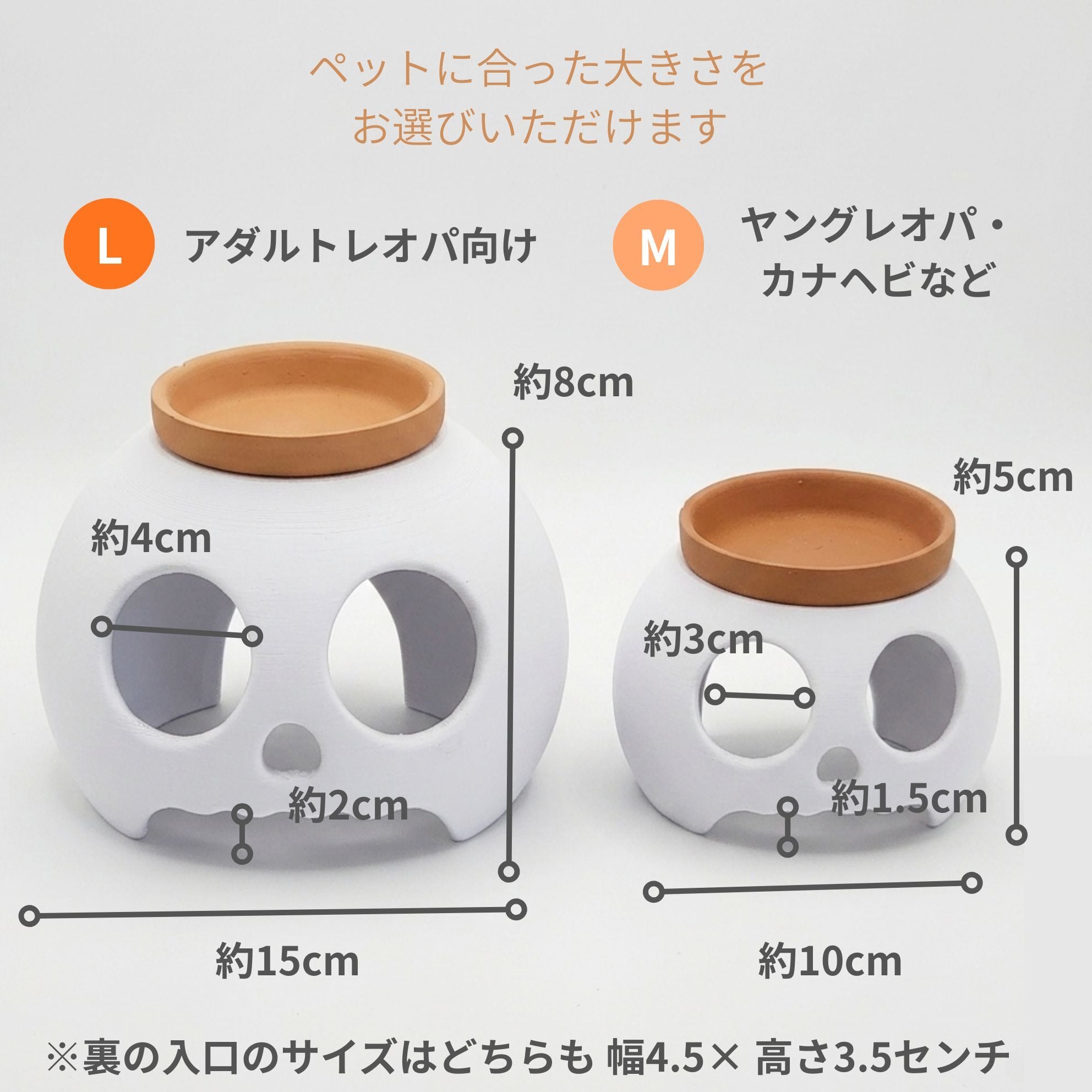 COKAGE【機能性ウェットシェルター骨宿 L】 爬虫類 ボーンシリーズ