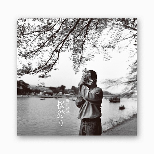 桜狩り In Search of Sakura